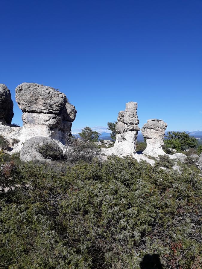 Chambre D'Hotes La Margotte Forcalquier Εξωτερικό φωτογραφία